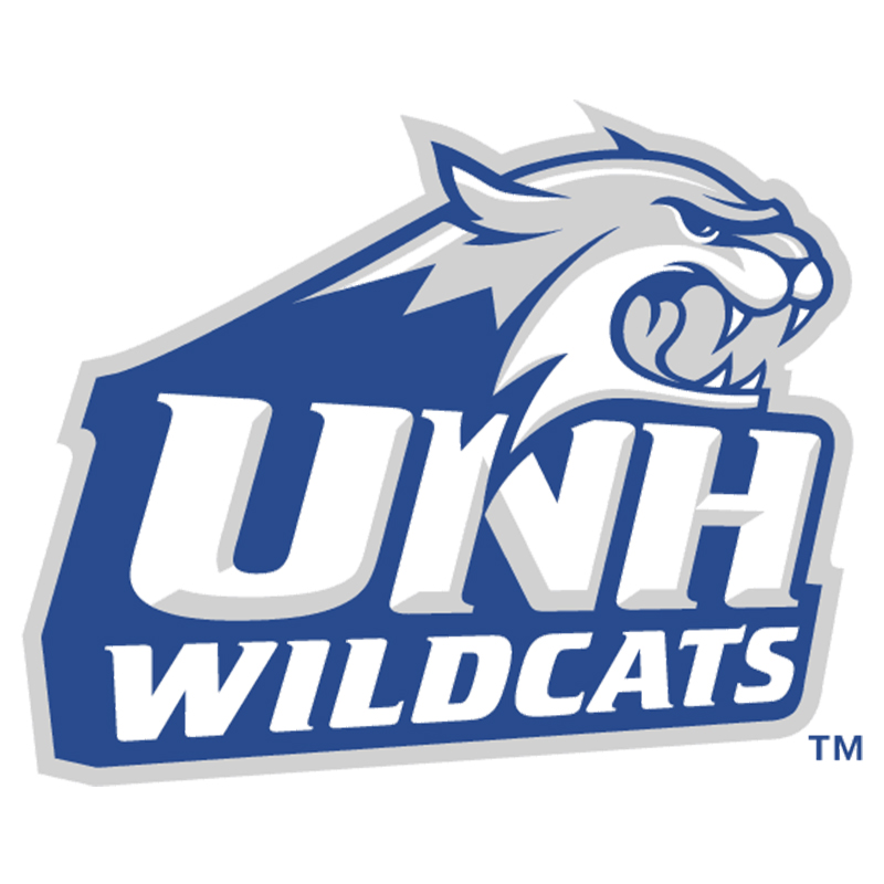 New Hampshire Wildcats iron ons